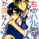 YI82 Free! Iwatobi Swim Club Doujinshi by Ichimofu	Makoto x Haruka	26 pages