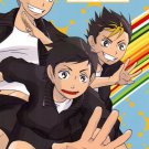 HQ10 Haikyuu! Doujinshi Unsung Hero		Ennoshita, Tanaka, Nishinoya	26 pages