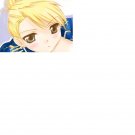 EF19 R18 ADULT DOUJINSHI Full Metal Alchemist Roy x Riza	34 pages