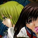 EI5	R18 ADULT Doujinshi 	Ichigo 100%	Shu Ichigo Gari	by Parm	Aya, Nishino centric	52	pages