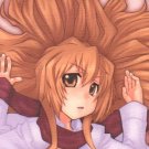ET67	R18 ADULT Doujinshi	Toradora		by Uso Factory	Ryuji x Taiga	26	pages