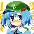 ET84	R18 ADULT Doujinshi	Touhou			Nitori centric	18	pages