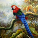 VINTAGE PARROTS MACCAW BIRDS AMAZON CANVAS ART - LARGE