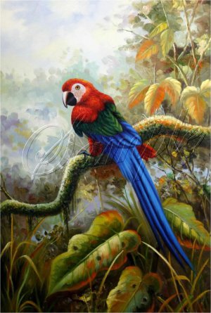 VINTAGE PARROTS MACCAW BIRDS AMAZON CANVAS ART - LARGE