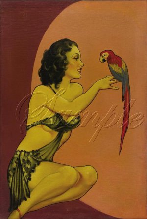 VINTAGE RISQUE PIN-UP GIRL PARROT CANVAS ART PRINT