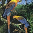 VINTAGE PARROTS CUBAN MACCAW BIRDS CANVAS ART - LARGE