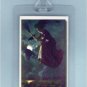 VINTAGE PRETTY WICCA WITCH HALLOWEEN ART-2 LUGGAGE TAGS