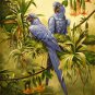 VINTAGE HYACINTH MACAWS BIRDS AVIARY CANVAS ART-BIG