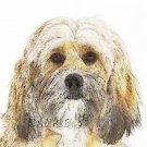 BENJI TERRIER DOG CANINE DIGITAL CANVAS ART PRINT LARGE