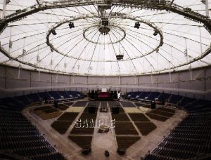 VINTAGE TAMPA BAY RAYS BASEBALL DOME CANVAS PRINT-LARGE