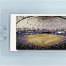 TAMPA BAY RAYS DOME BASEBALL PHOTO ART - 2 LUGGAGE TAGS