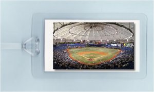 TAMPA BAY RAYS DOME BASEBALL PHOTO ART - 2 LUGGAGE TAGS
