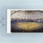 TAMPA BAY RAYS DOME BASEBALL PHOTO ART - 2 LUGGAGE TAGS