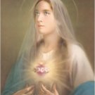 VINTAGE VIRGIN MARY SACRED HEART CHIC CANVAS ART LARGE