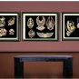 VINTAGE TATTOO FLASH SKULLS SNAKES CANVAS ART PRINT