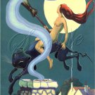 VINTAGE WITCH FLYING BLACK COUGAR CAT WICCA CANVAS ART