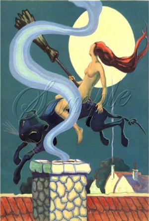 VINTAGE WITCH FLYING BLACK COUGAR CAT WICCA CANVAS ART