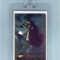 VINTAGE PIN-UP WICCA WITCH HALLOWEEN ART-2 LUGGAGE TAGS