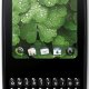 Palm Pixi