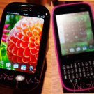 Palm Pixi