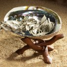 Abalone Shell & Stand