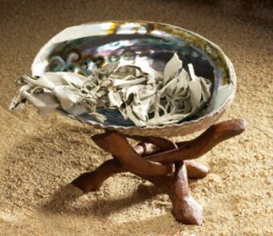 Abalone Shell & Stand