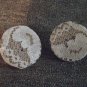White Lace And Mocha Button Earrings
