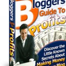 Bloggers Guide To Profits