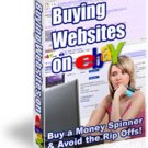 Buying Websites On Ebay