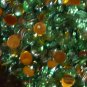 200 Lime Rhinestones