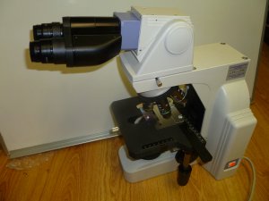 Nikon Eclipse E400 Ergonomical Binocular Microscope