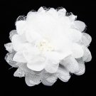 Hairclip White 2-4