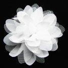 Hairclip White 2-5