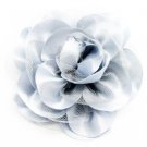 Hairclip Silver 1-5