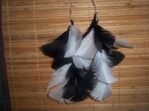 Black/white Feather Earrings