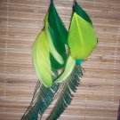 Green/yellow peacock feathers