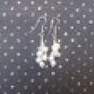 Pearl Dangles