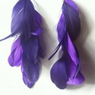 Grape Feathers