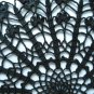 Black crochet doily