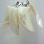 Natural crimp tooth horn tusk mother of pearl pendants 15*30mm 10 pcs lot Craft Supply