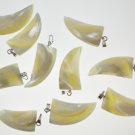 Natural crimp tooth horn tusk mother of pearl pendants 15*30mm 10 pcs lot Craft Supply