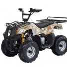 110cc Youth Utility ATV