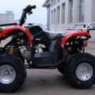 125cc Utility Quad ATV