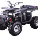 125cc Midsize Utility Quad