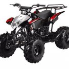 125cc Midsize Sport ATV