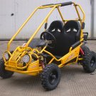 Four Stroke Go Cart
