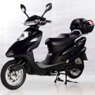 500 Watt Electric Scooter