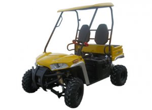 150cc Utility Vehicle