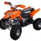 250cc Sport Quad ATV