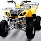 150cc Utility Quad ATV